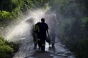 Waldbrand Koeln Hoehenhaus Hoehenfelder Mauspfad P189